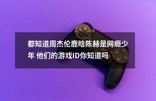 都知道周杰伦鹿晗陈赫是网瘾少年 他们的游戏ID你知道吗-第1张-游戏信息-龙启网