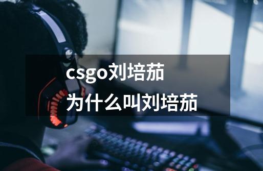 csgo刘培茄为什么叫刘培茄-第1张-游戏信息-龙启网