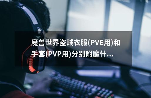 魔兽世界盗贼衣服(PVE用)和手套(PVP用)分别附魔什么-第1张-游戏信息-龙启网