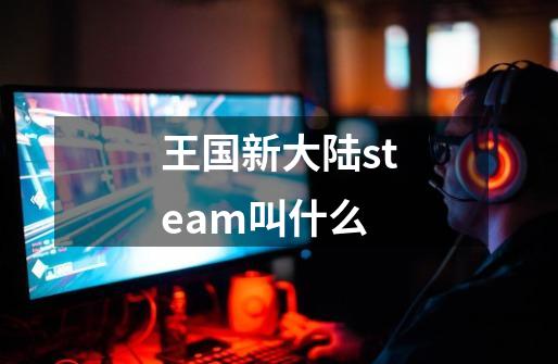 王国新大陆steam叫什么-第1张-游戏信息-龙启网