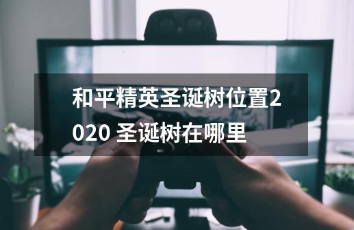 和平精英圣诞树位置2020 圣诞树在哪里-第1张-游戏信息-龙启网