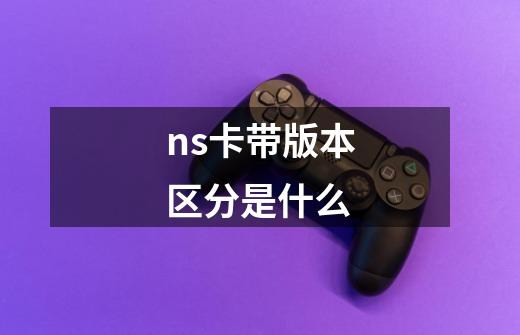 ns卡带版本区分是什么-第1张-游戏信息-龙启网