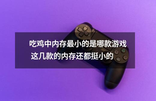 吃鸡中内存最小的是哪款游戏 这几款的内存还都挺小的-第1张-游戏信息-龙启网