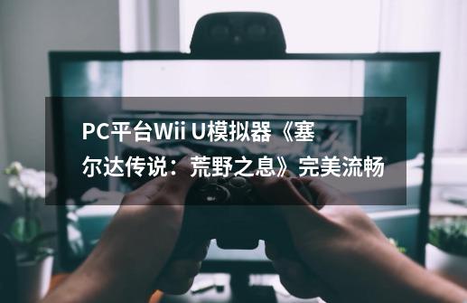 PC平台Wii U模拟器《塞尔达传说：荒野之息》完美流畅-第1张-游戏信息-龙启网