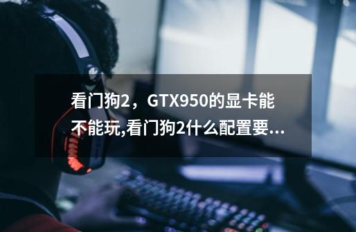 看门狗2，GTX950的显卡能不能玩,看门狗2什么配置要求-第1张-游戏信息-龙启网