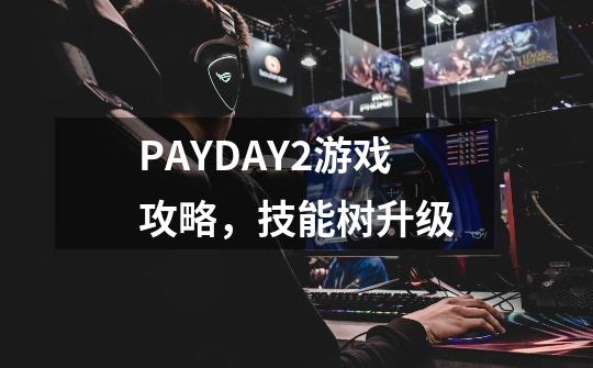 PAYDAY2游戏攻略，技能树升级-第1张-游戏信息-龙启网