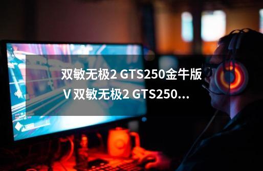 双敏无极2 GTS250金牛版Ⅴ双敏无极2 GTS250金牛版V详细参数-第1张-游戏信息-龙启网