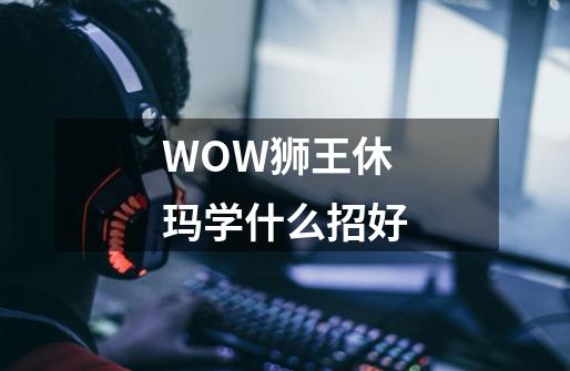 WOW狮王休玛学什么招好-第1张-游戏信息-龙启网