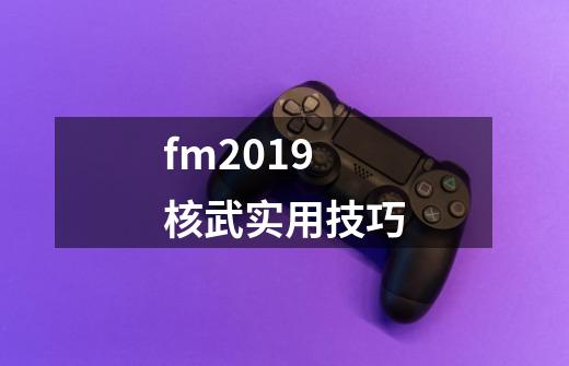 fm2019核武实用技巧-第1张-游戏信息-龙启网