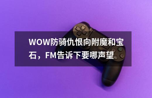 WOW防骑仇恨向附魔和宝石，FM告诉下要哪声望-第1张-游戏信息-龙启网