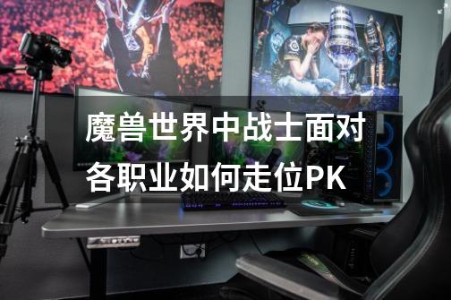 魔兽世界中战士面对各职业如何走位PK-第1张-游戏信息-龙启网