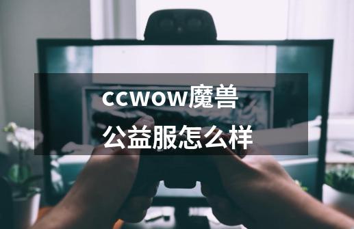 ccwow魔兽公益服怎么样-第1张-游戏信息-龙启网