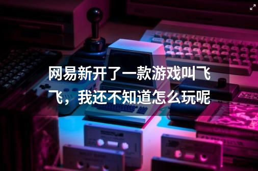 网易新开了一款游戏叫飞飞，我还不知道怎么玩呢-第1张-游戏信息-龙启网