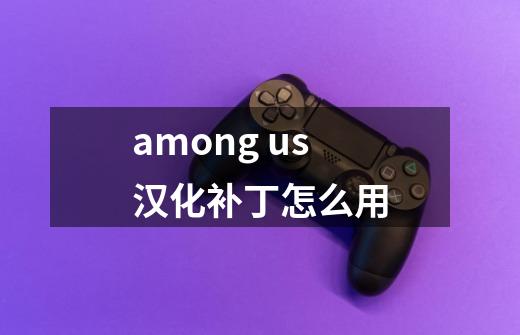 among us汉化补丁怎么用-第1张-游戏信息-龙启网