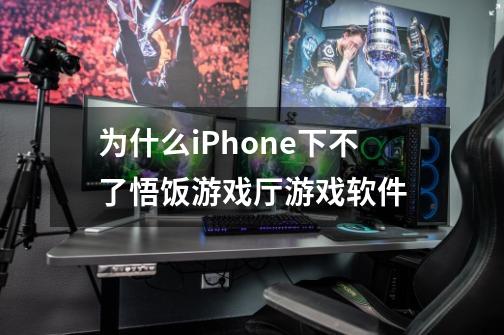 为什么iPhone下不了悟饭游戏厅游戏软件-第1张-游戏信息-龙启网