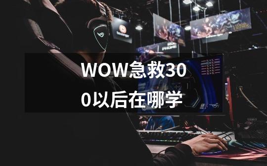 WOW急救300以后在哪学-第1张-游戏信息-龙启网