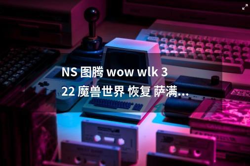 NS 图腾 wow wlk 3.22 魔兽世界 恢复 萨满 奶萨-第1张-游戏信息-龙启网