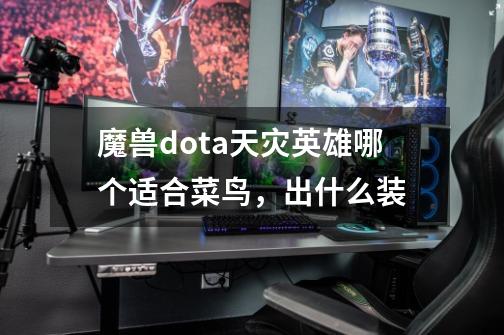 魔兽dota天灾英雄哪个适合菜鸟，出什么装-第1张-游戏信息-龙启网