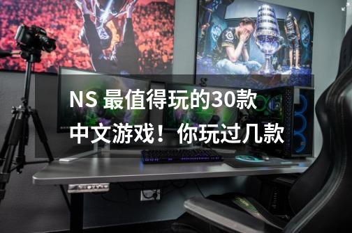 NS 最值得玩的30款中文游戏！你玩过几款-第1张-游戏信息-龙启网