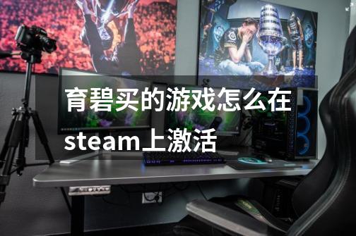 育碧买的游戏怎么在steam上激活-第1张-游戏信息-龙启网