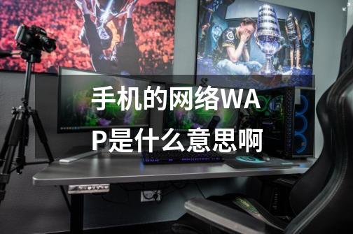 手机的网络WAP是什么意思啊-第1张-游戏信息-龙启网