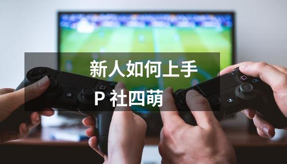 新人如何上手 P 社四萌-第1张-游戏信息-龙启网