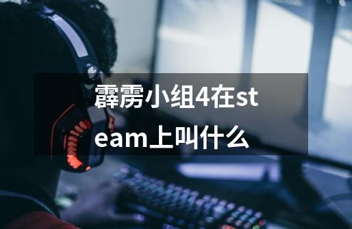 霹雳小组4在steam上叫什么-第1张-游戏信息-龙启网