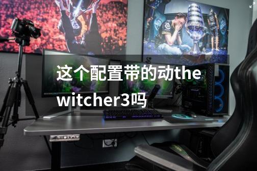 这个配置带的动thewitcher3吗-第1张-游戏信息-龙启网