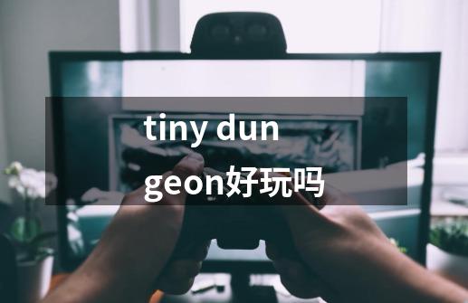 tiny dungeon好玩吗-第1张-游戏信息-龙启网