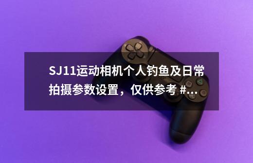 SJ11运动相机个人钓鱼及日常拍摄参数设置，仅供参考 #运动相机-第1张-游戏信息-龙启网