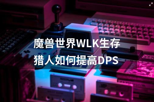 魔兽世界WLK生存猎人如何提高DPS-第1张-游戏信息-龙启网