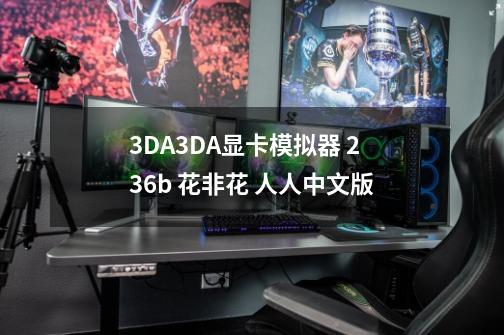 3DA3DA显卡模拟器 2.36b 花非花 人人中文版-第1张-游戏信息-龙启网