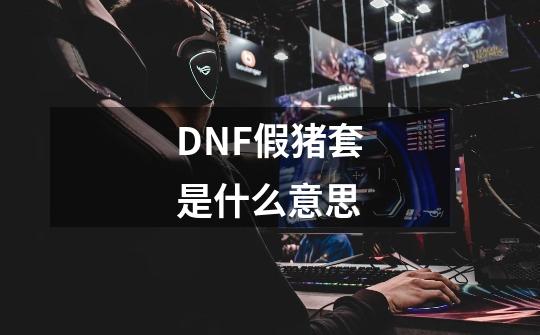 DNF假猪套是什么意思-第1张-游戏信息-龙启网