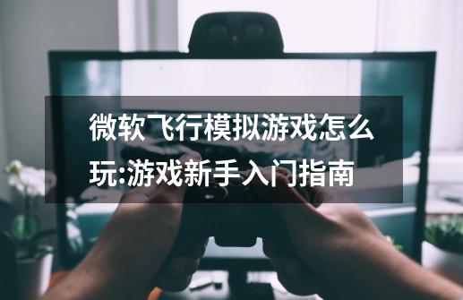 微软飞行模拟游戏怎么玩:游戏新手入门指南-第1张-游戏信息-龙启网