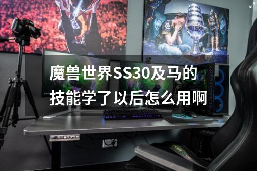 魔兽世界SS30及马的技能学了以后怎么用啊-第1张-游戏信息-龙启网