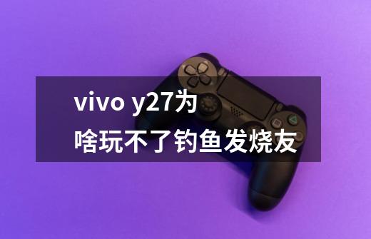 vivo y27为啥玩不了钓鱼发烧友-第1张-游戏信息-龙启网