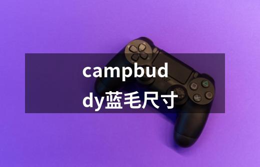 campbuddy蓝毛尺寸-第1张-游戏信息-龙启网