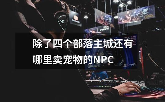 除了四个部落主城还有哪里卖宠物的NPC-第1张-游戏信息-龙启网