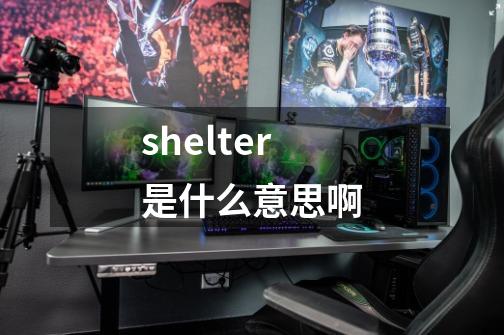 shelter是什么意思啊-第1张-游戏信息-龙启网