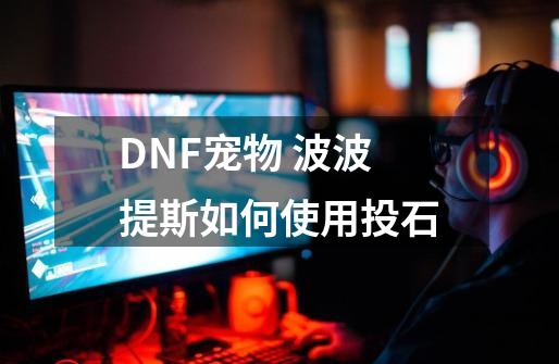 DNF宠物 波波提斯如何使用投石-第1张-游戏信息-龙启网