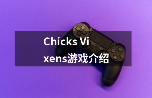 Chicks Vixens游戏介绍-第1张-游戏信息-龙启网