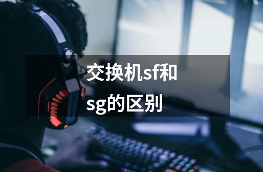 交换机sf和sg的区别-第1张-游戏信息-龙启网