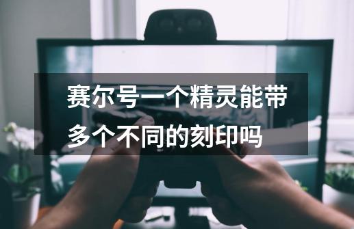 赛尔号一个精灵能带多个不同的刻印吗-第1张-游戏信息-龙启网