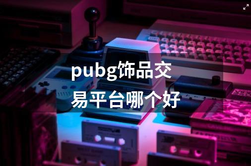 pubg饰品交易平台哪个好-第1张-游戏信息-龙启网