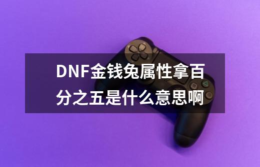 DNF金钱兔属性拿百分之五是什么意思啊-第1张-游戏信息-龙启网