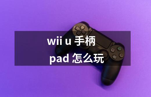 wii u 手柄 pad 怎么玩-第1张-游戏信息-龙启网