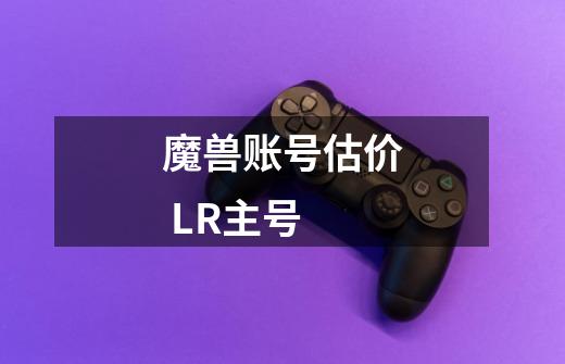 魔兽账号估价 LR主号-第1张-游戏信息-龙启网