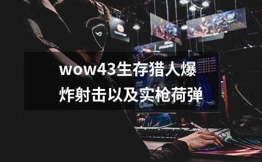 wow4.3生存猎人爆炸射击以及实枪荷弹-第1张-游戏信息-龙启网