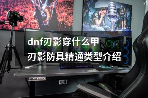 dnf刃影穿什么甲 刃影防具精通类型介绍-第1张-游戏信息-龙启网