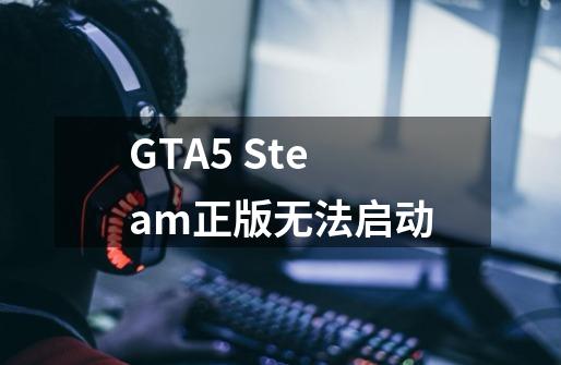 GTA5 Steam正版无法启动-第1张-游戏信息-龙启网